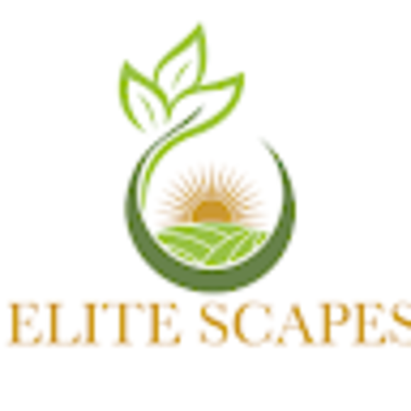 elitescapeswi